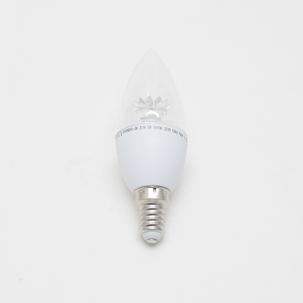 LED 전구 LED 램프 촛대구 5W  / 주광색 전구색 E14